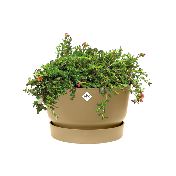 greenville schaal 33cm goudkleurig zand